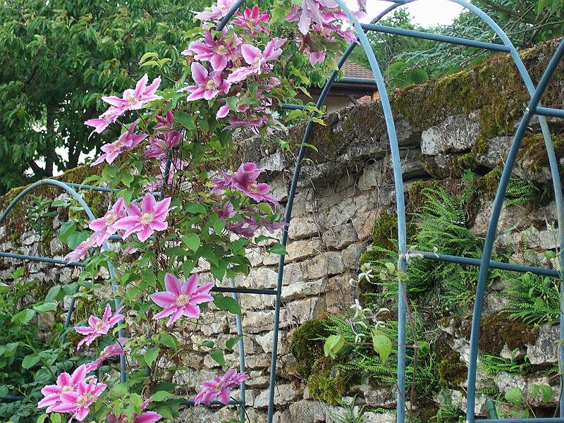 2010-05- (73).JPG